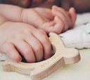 LullaLove Träbitis med Hållare - Sköldpadda