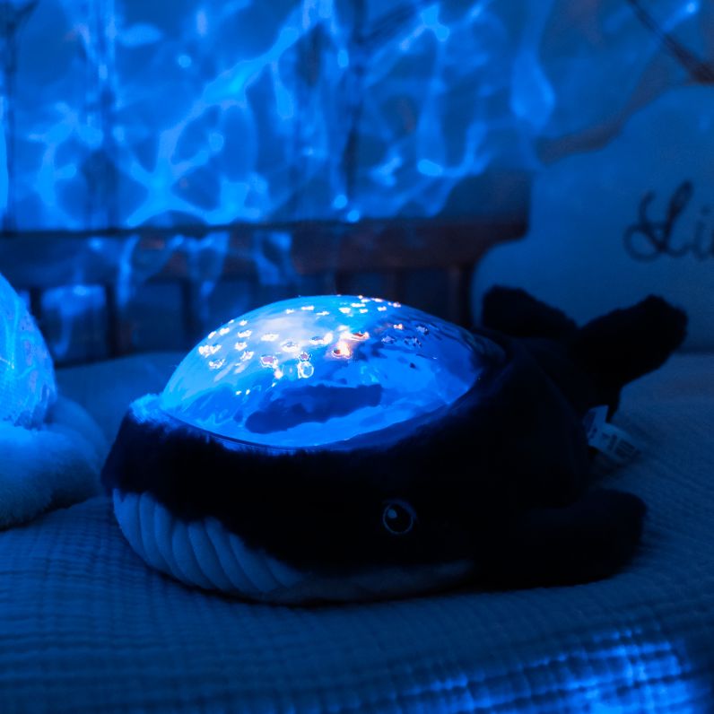 Pabobo Projektor Havstema - Val USB