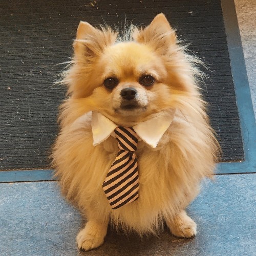 [test001] Testprodukt